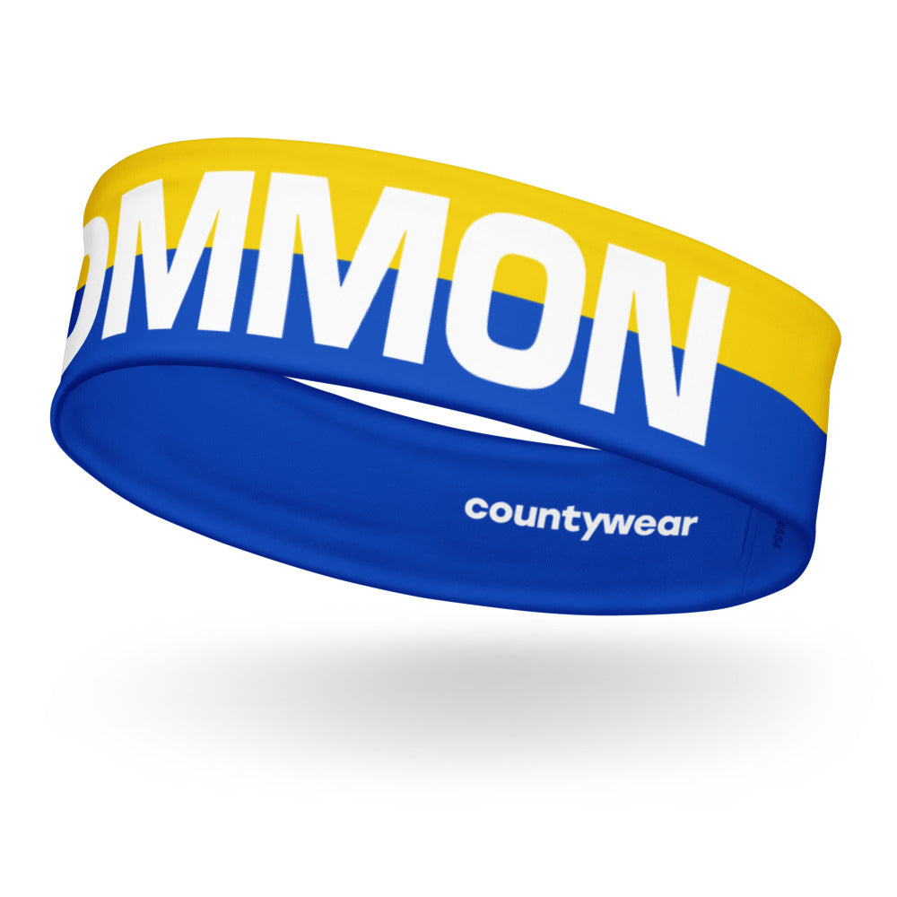 Roscommon Headband Yellow And Blue County Wear